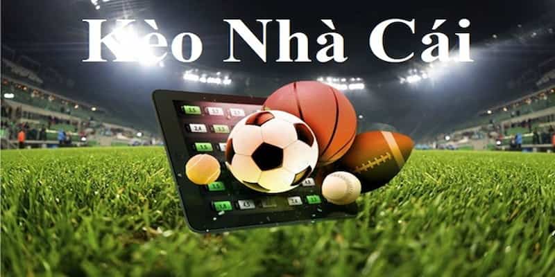 Kèo Nhà Cái Là Gì? Hiểu Đúng Về Tỷ Lệ Kèo Bóng Đá